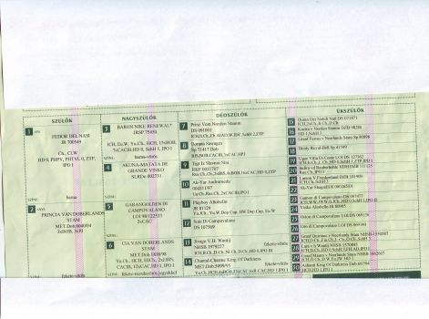 scan10001.jpg