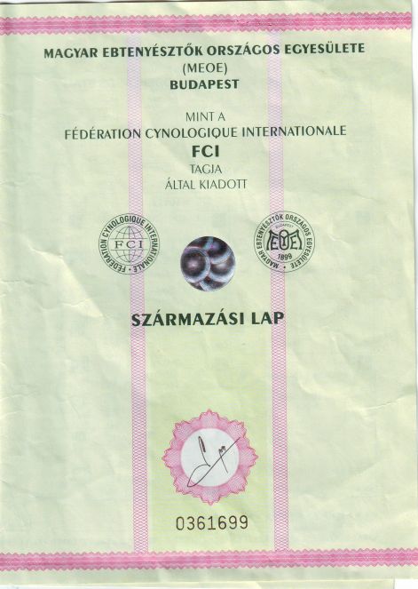 scan10002.jpg