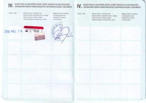 scan10005.jpg
